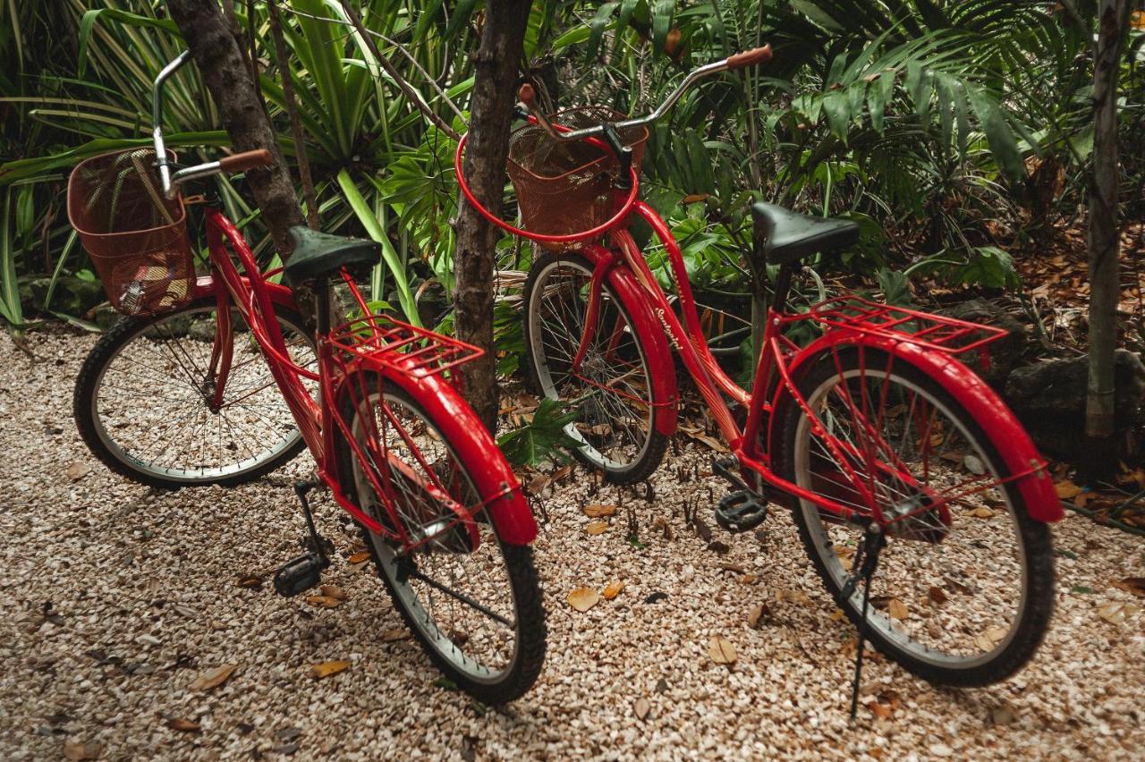 Casa Coyote Tulum Hotel Luaran gambar